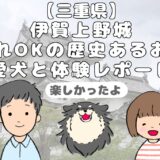 伊賀上野城　アイキャッチ画像
